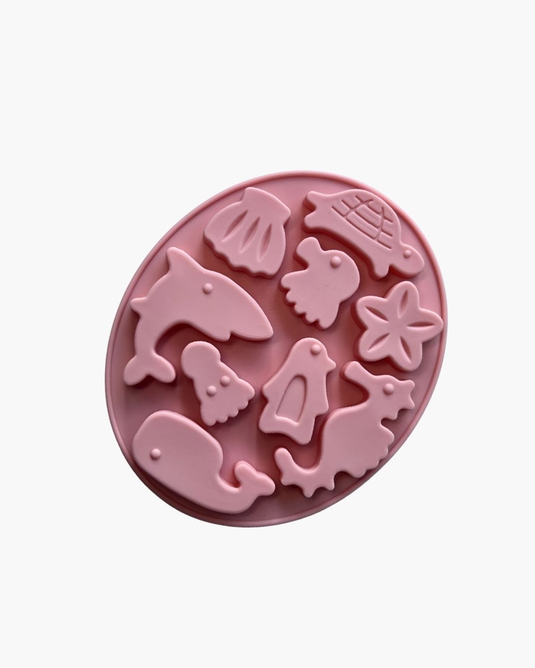 Animales de mar