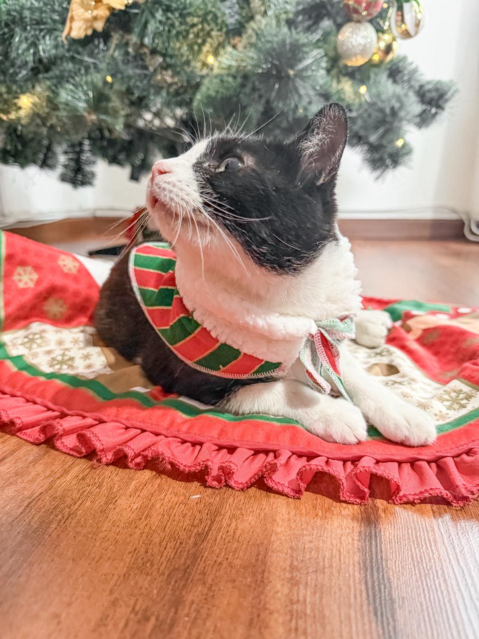 Pañueleta Navidad Mascotas